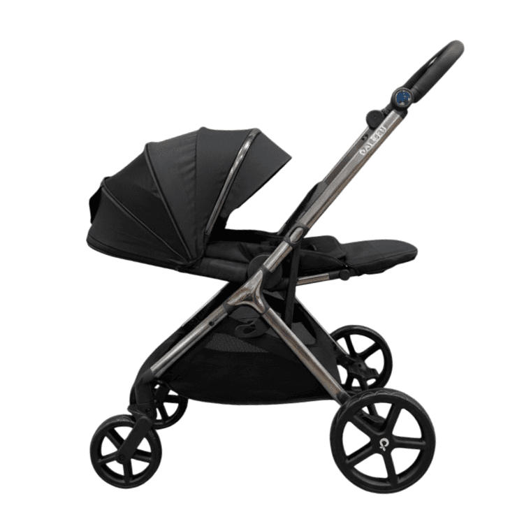 Baleen Two-Way Stroller