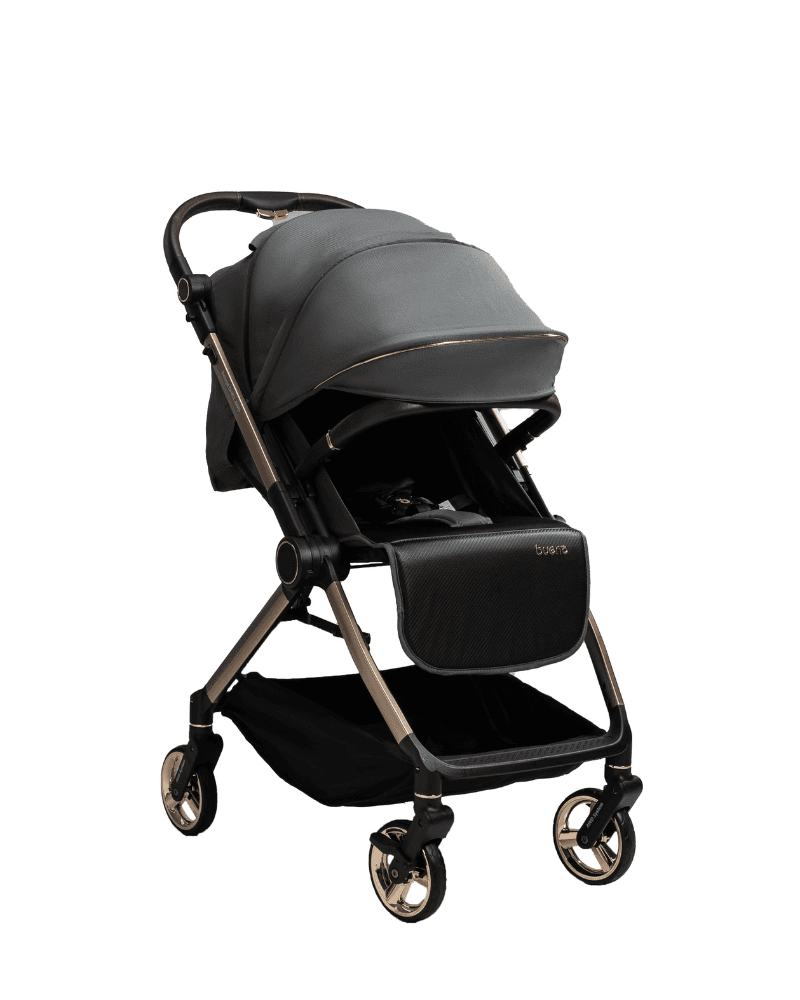 Beluga DriftX AWD Two-Way Stroller