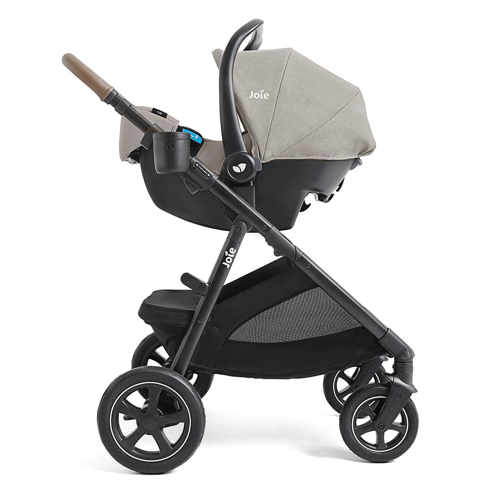 Ginger LX — 08.jpg