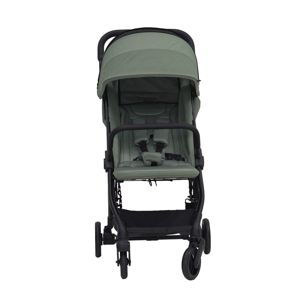 Cabin Cruiser Stroller