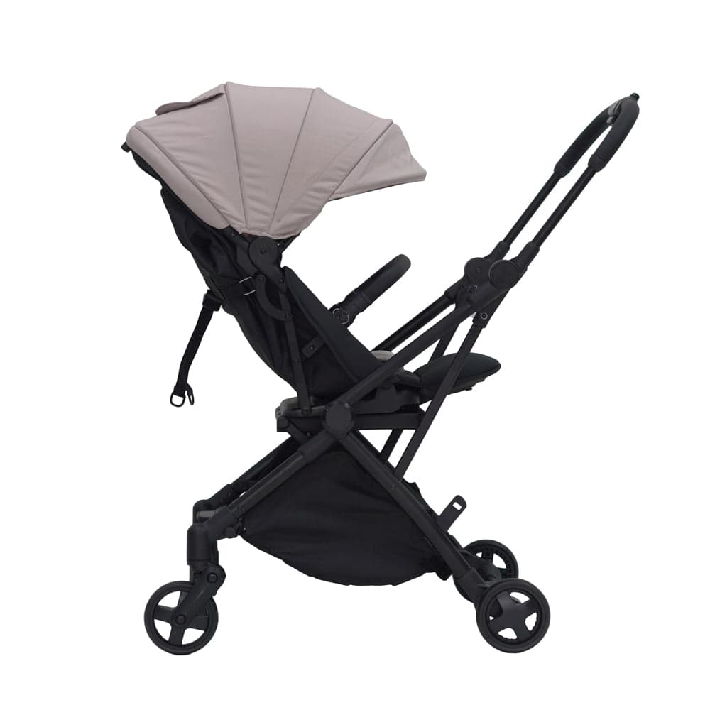 Carousel Cruiser Stroller
