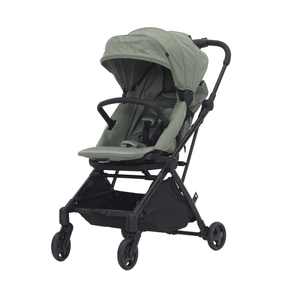 Carousel Cruiser Stroller