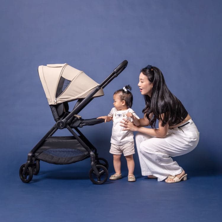 Revo Cruiser Stroller